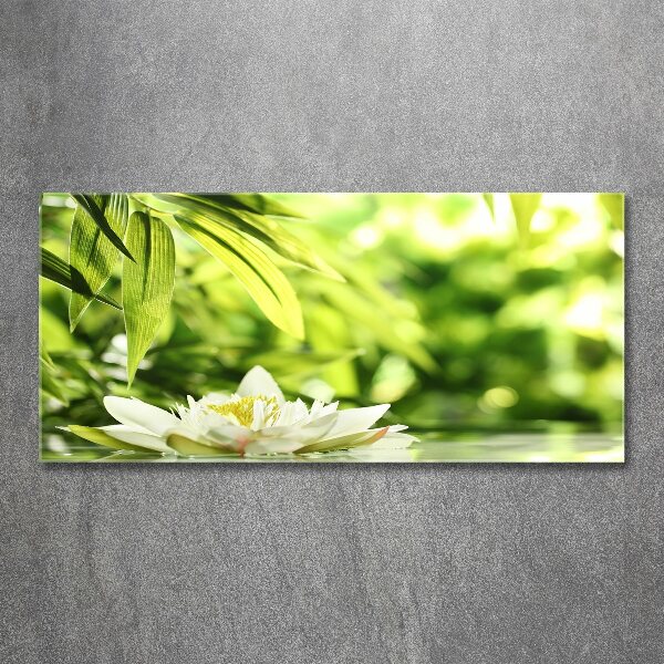 Acrylic wall art water lily