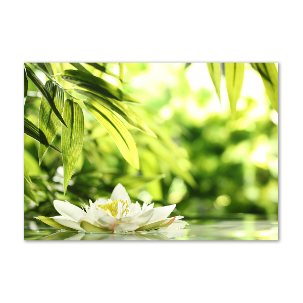 Acrylic wall art water lily