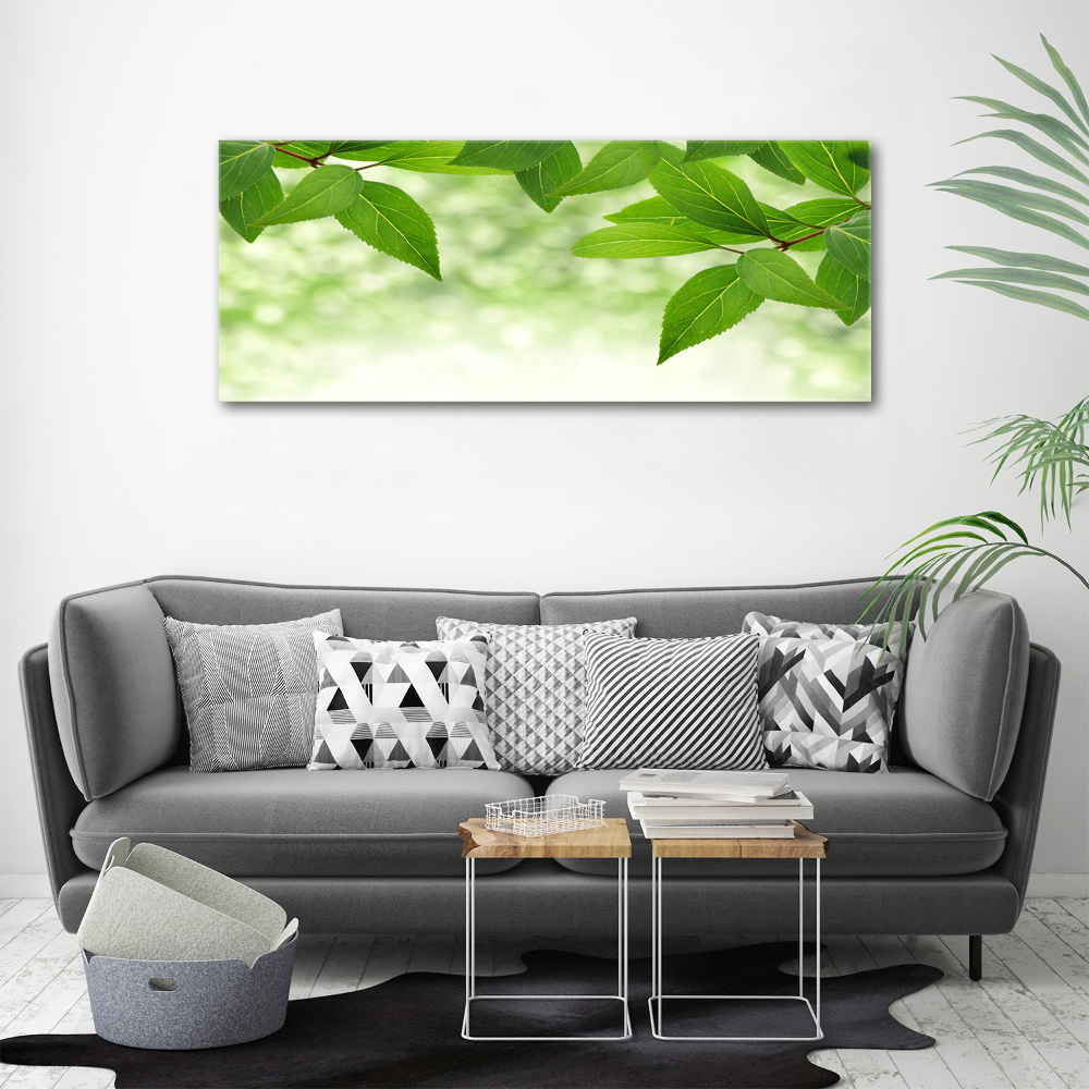 Print on acrylic Green leaves