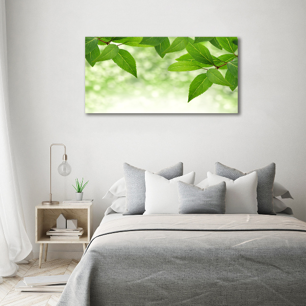 Print on acrylic Green leaves