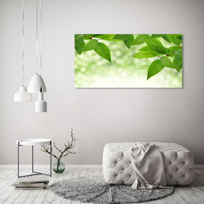 Print on acrylic Green leaves