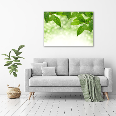 Print on acrylic Green leaves