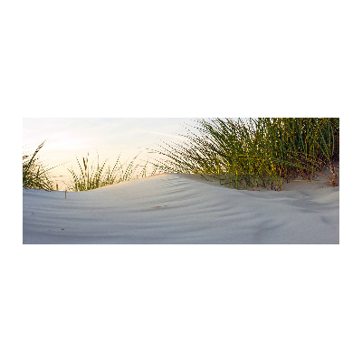 Print on acrylic Coastal dunes