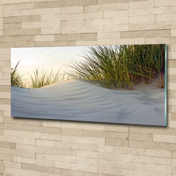 Print on acrylic Coastal dunes