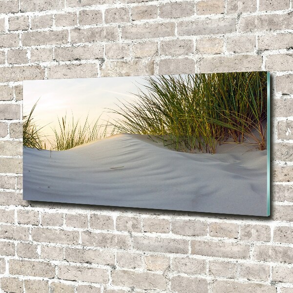 Print on acrylic Coastal dunes