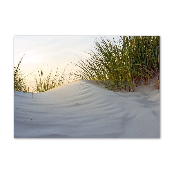 Print on acrylic Coastal dunes