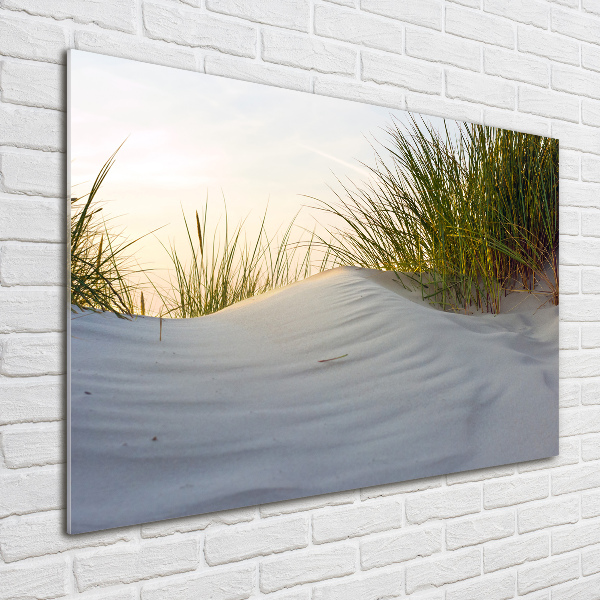 Print on acrylic Coastal dunes