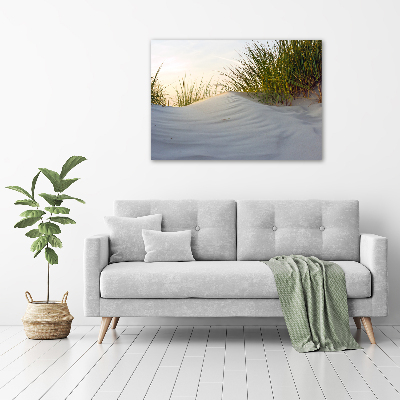 Print on acrylic Coastal dunes