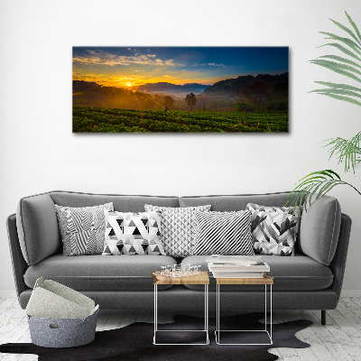 Wall art acrylic Tea plantation