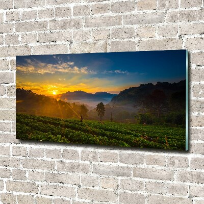 Wall art acrylic Tea plantation