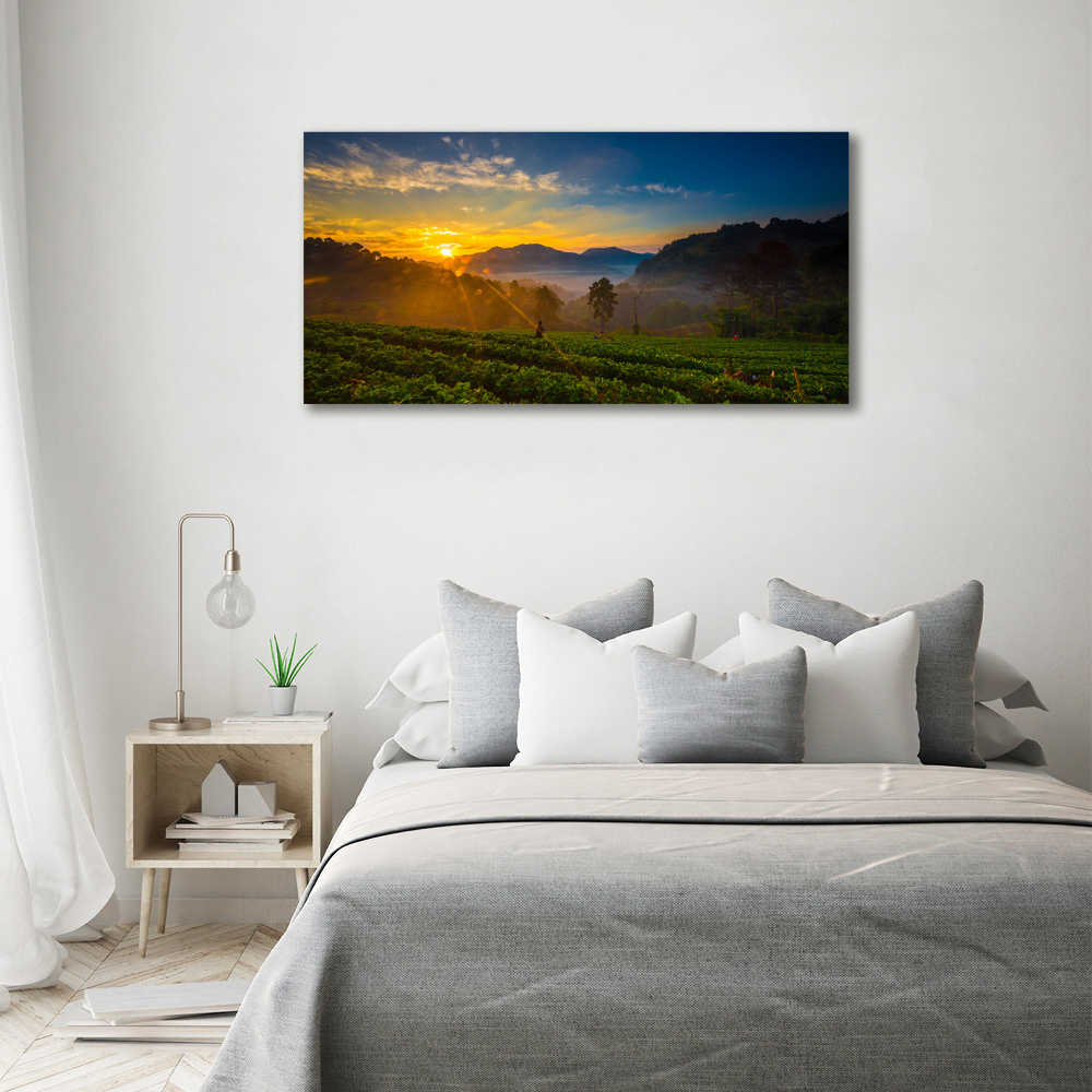 Wall art acrylic Tea plantation