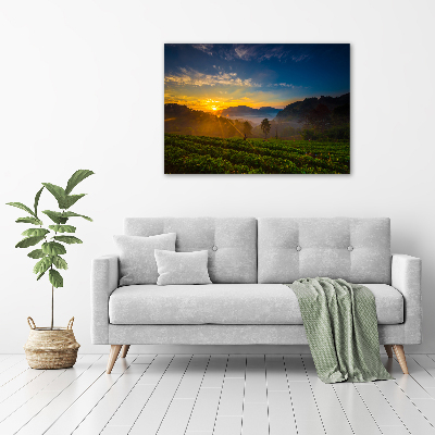 Wall art acrylic Tea plantation