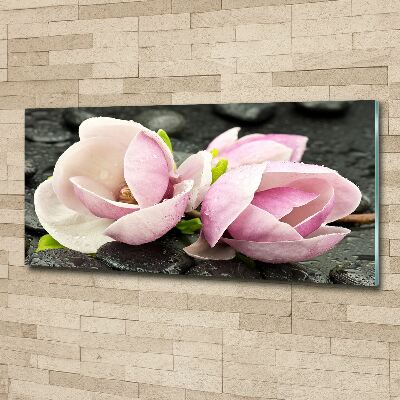 Print on acrylic Magnolia stone zen