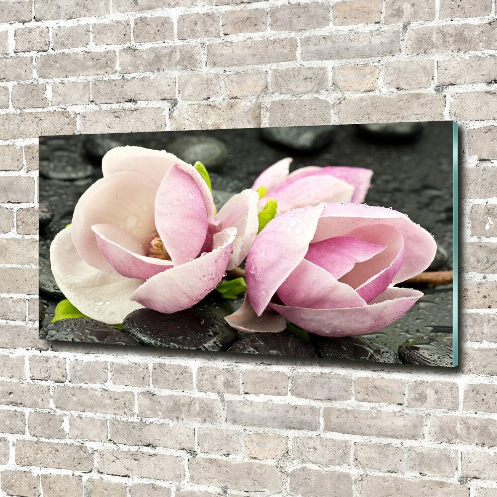 Print on acrylic Magnolia stone zen