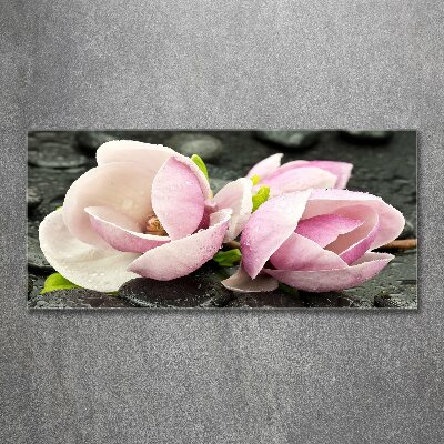 Print on acrylic Magnolia stone zen