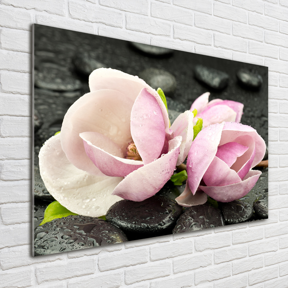 Print on acrylic Magnolia stone zen