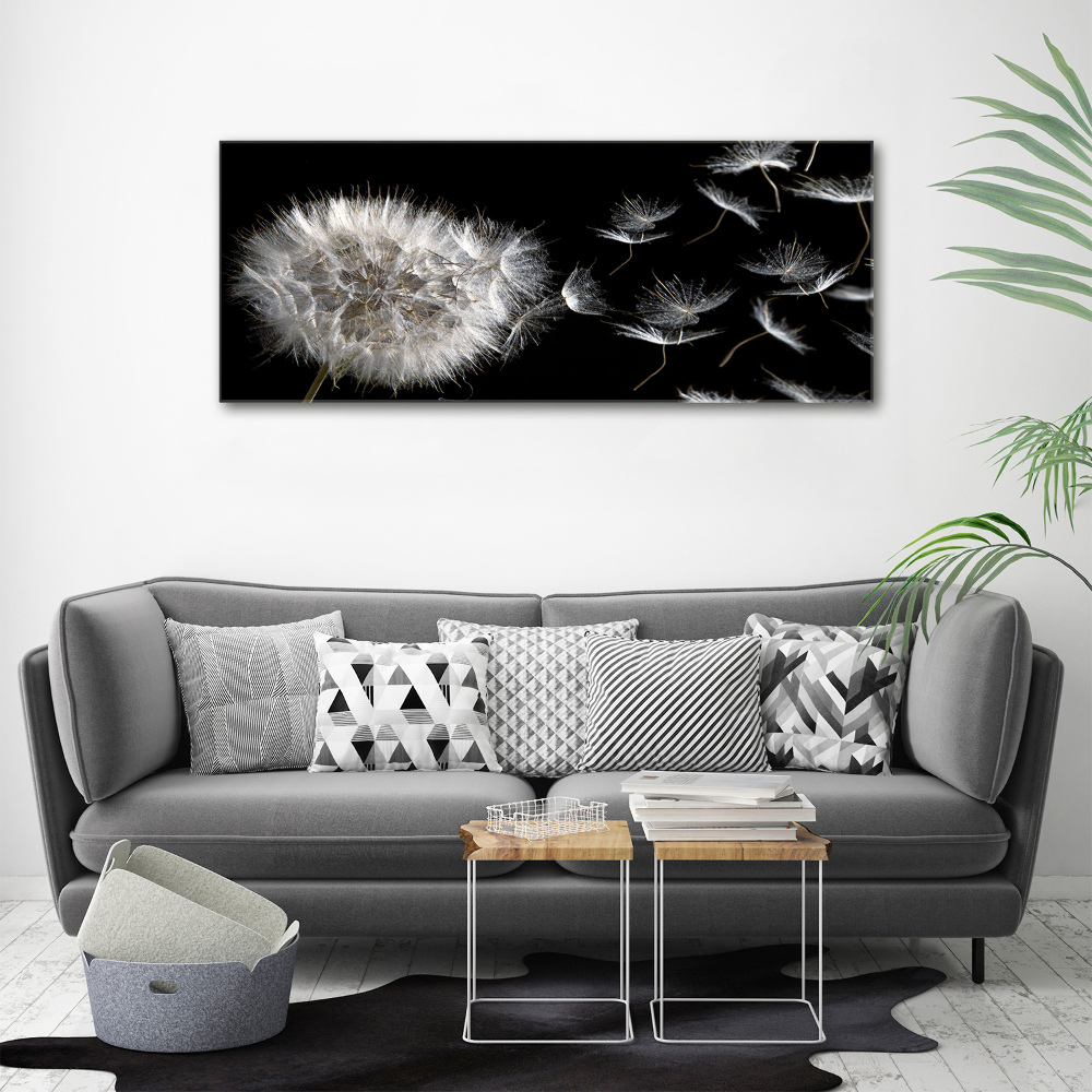 Print on acrylic Dandelion