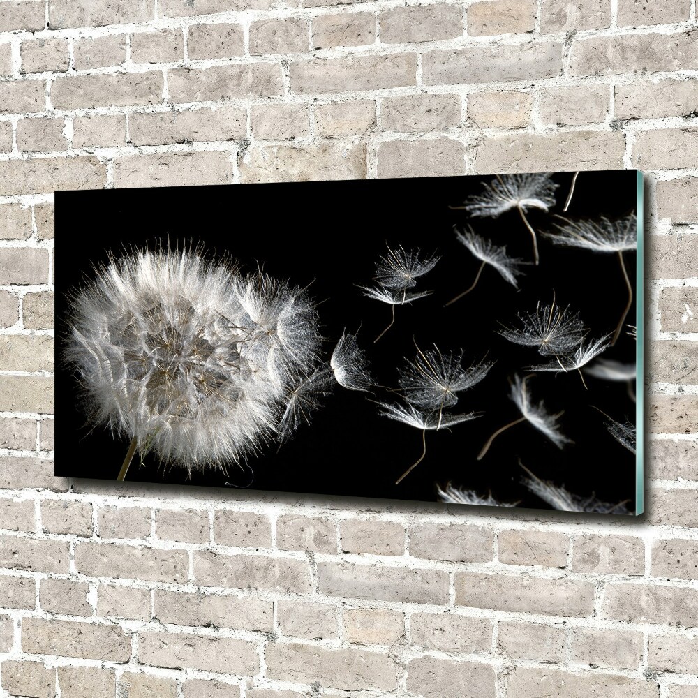 Print on acrylic Dandelion