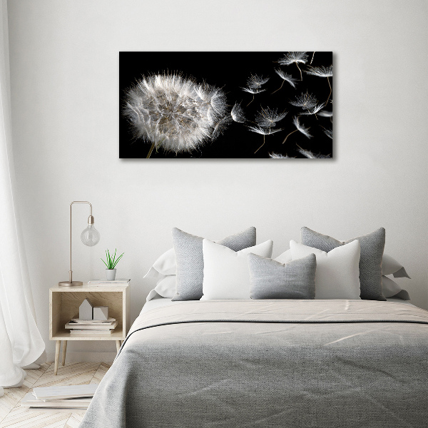 Print on acrylic Dandelion