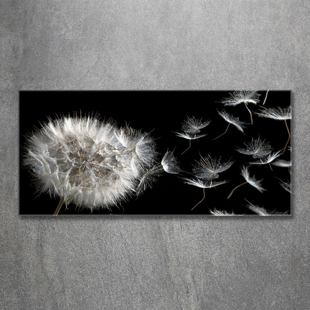 Print on acrylic Dandelion