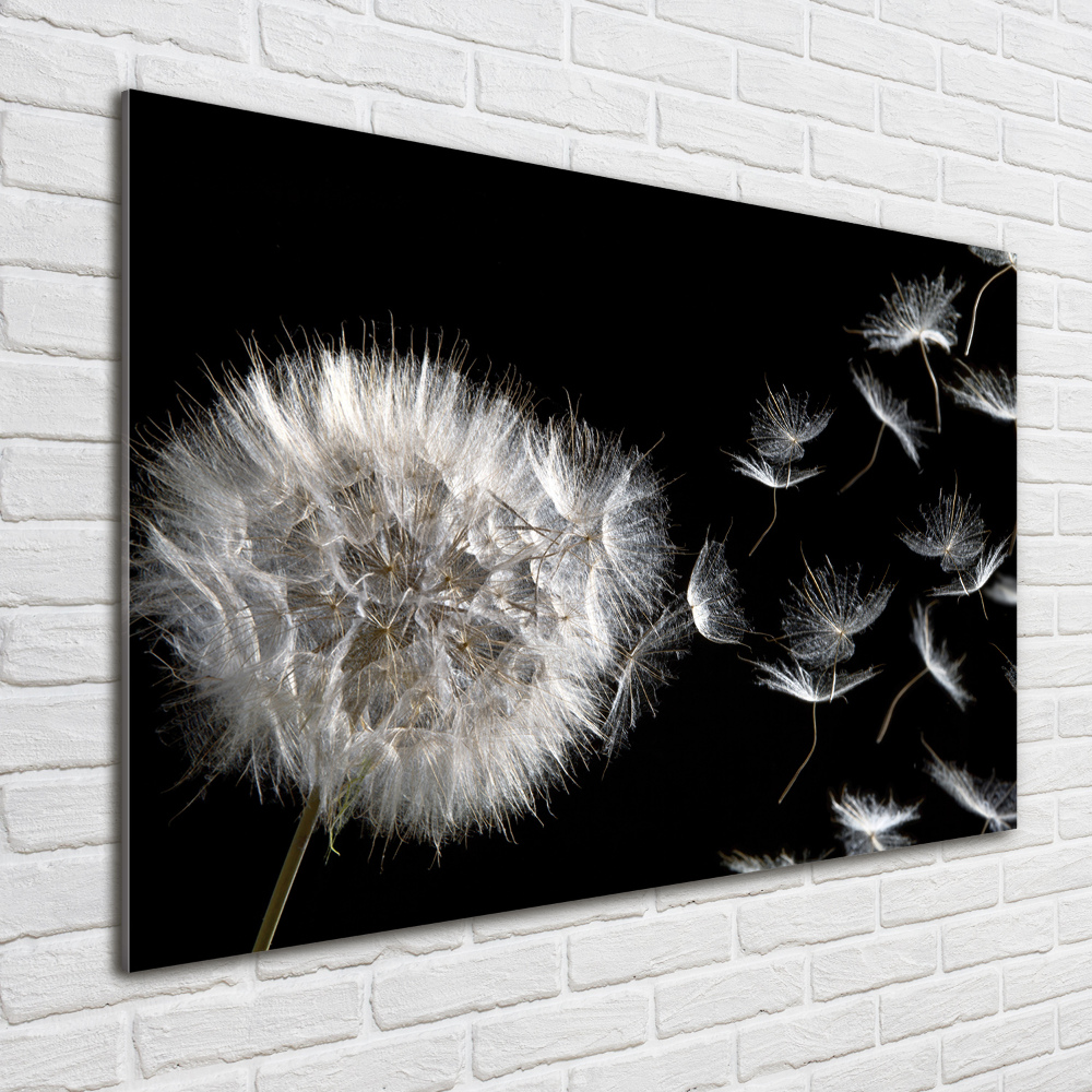 Print on acrylic Dandelion