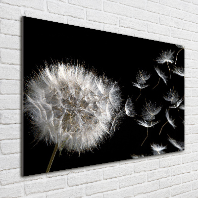 Print on acrylic Dandelion