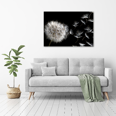 Print on acrylic Dandelion