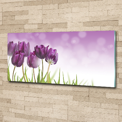 Print on acrylic Fillet tulips