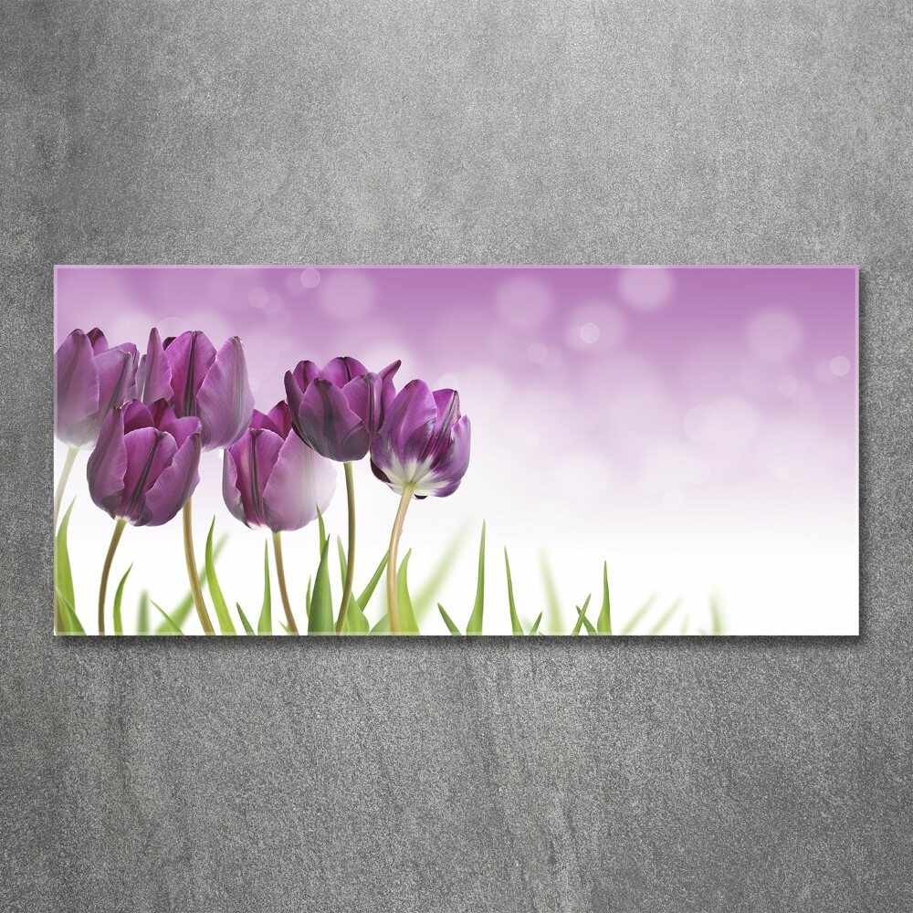 Print on acrylic Fillet tulips