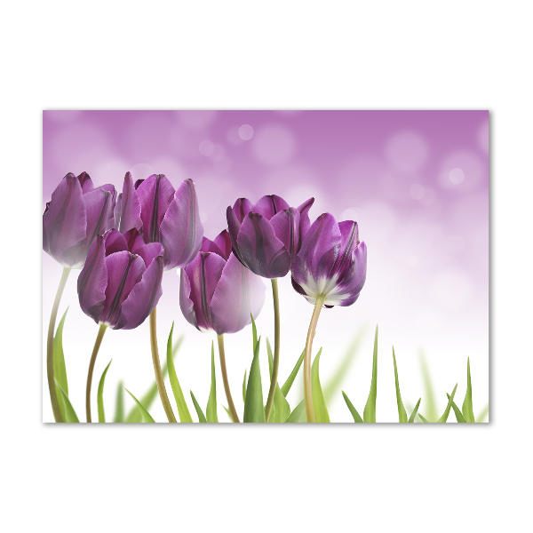 Print on acrylic Fillet tulips