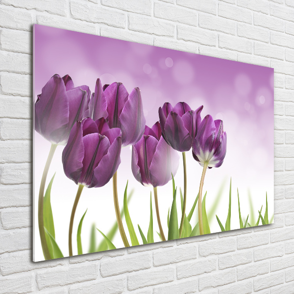 Print on acrylic Fillet tulips