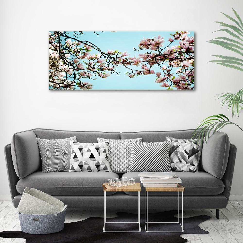 Print on acrylic Magnolia flowers