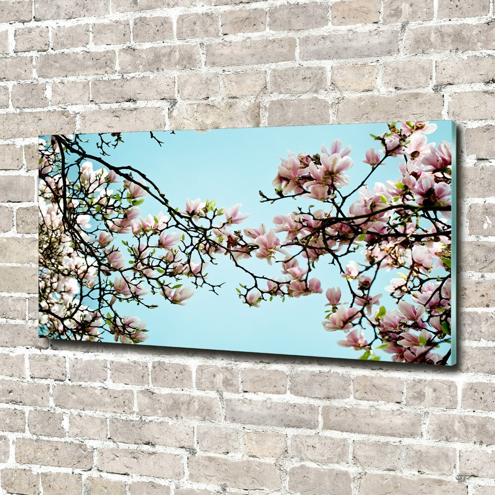 Print on acrylic Magnolia flowers