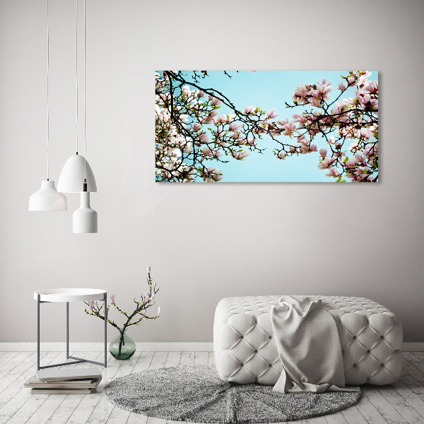 Print on acrylic Magnolia flowers