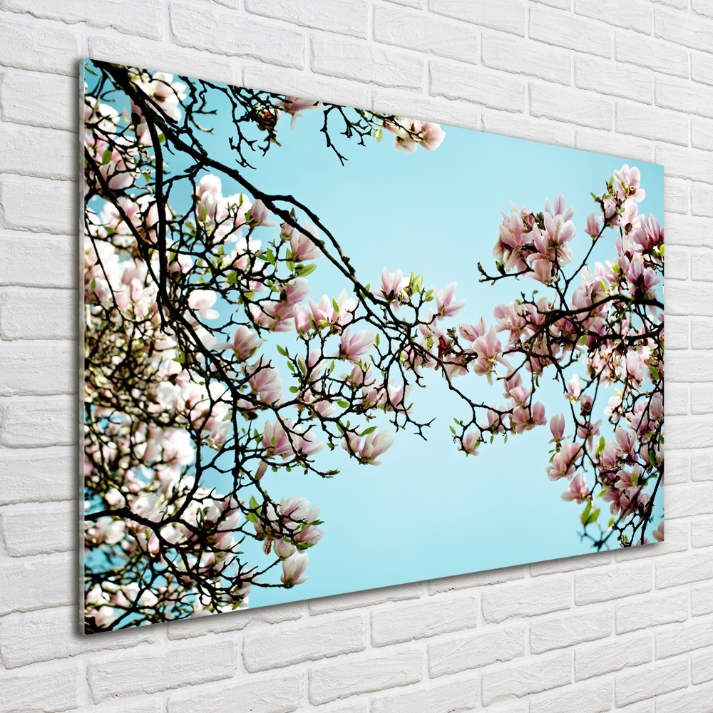 Print on acrylic Magnolia flowers