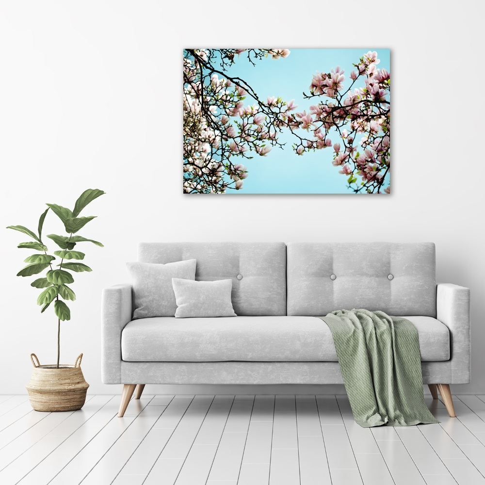 Print on acrylic Magnolia flowers