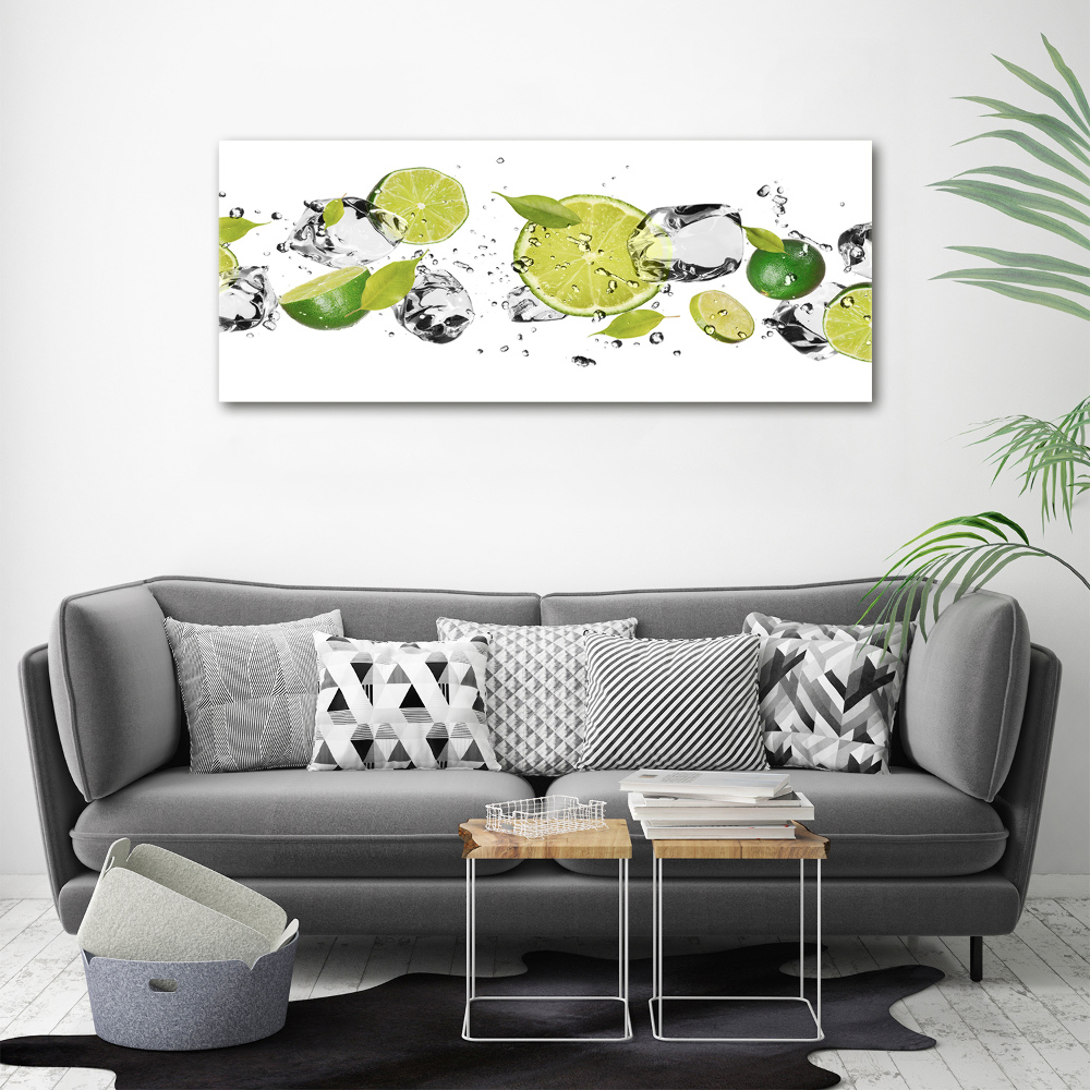 Acrylic wall art Lime and water