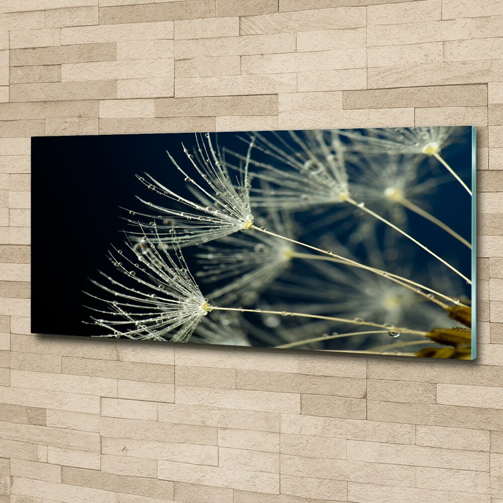 Print on acrylic Dandelion seeds