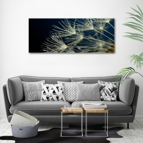 Print on acrylic Dandelion seeds