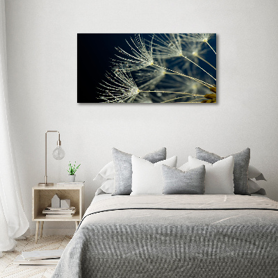 Print on acrylic Dandelion seeds