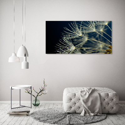 Print on acrylic Dandelion seeds