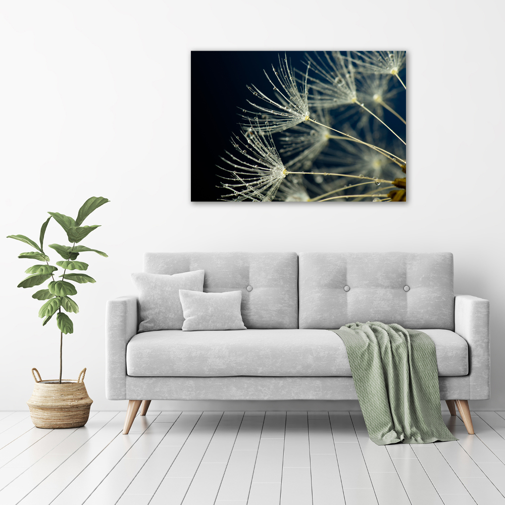 Print on acrylic Dandelion seeds