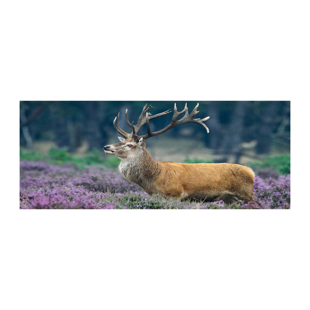 Acrylic print Deer among lavender