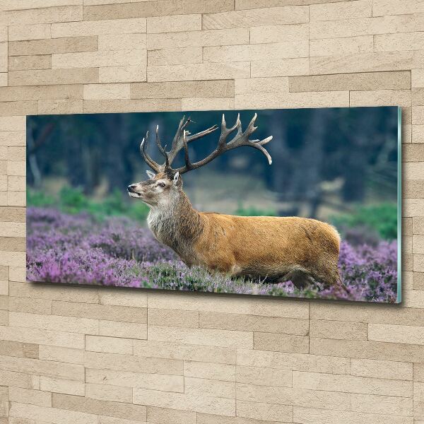 Acrylic print Deer among lavender