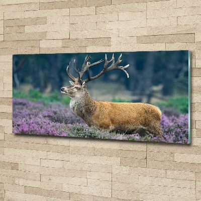 Acrylic print Deer among lavender