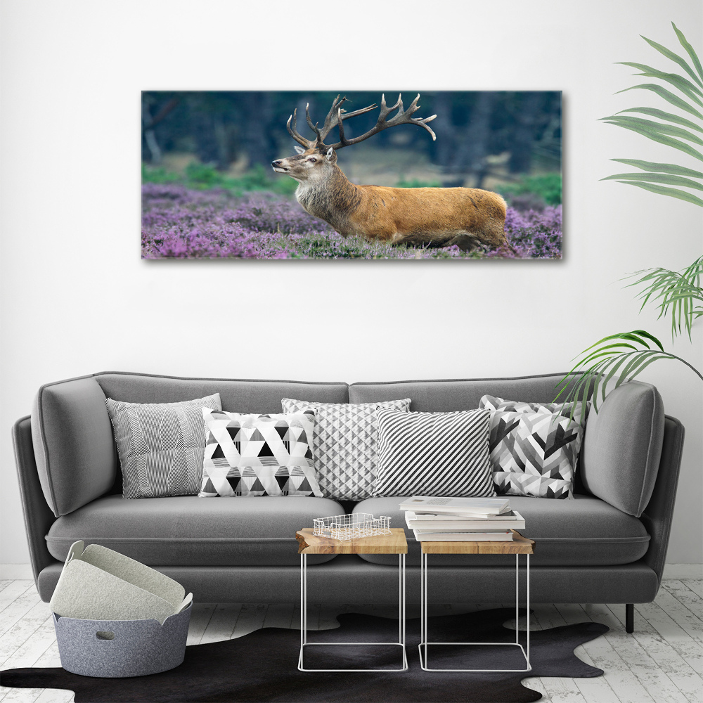 Acrylic print Deer among lavender