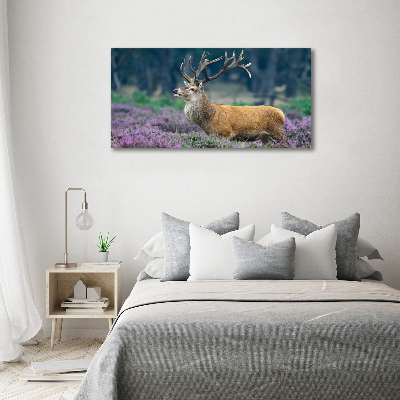 Acrylic print Deer among lavender