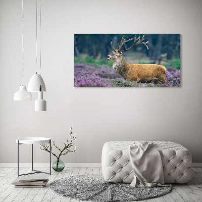 Acrylic print Deer among lavender