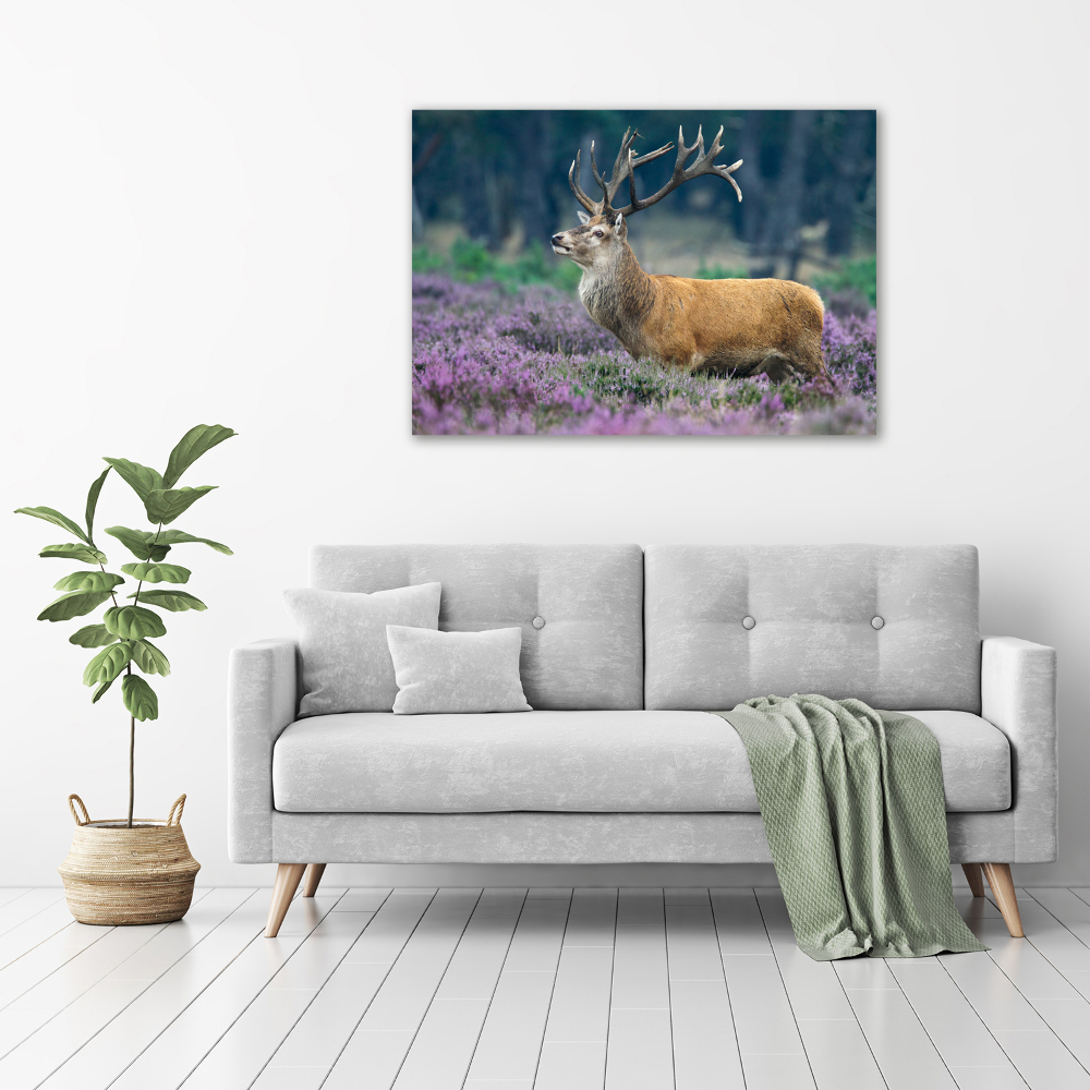 Acrylic print Deer among lavender