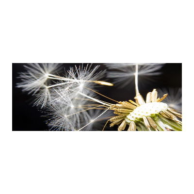 Wall art acrylic Dandelion seeds